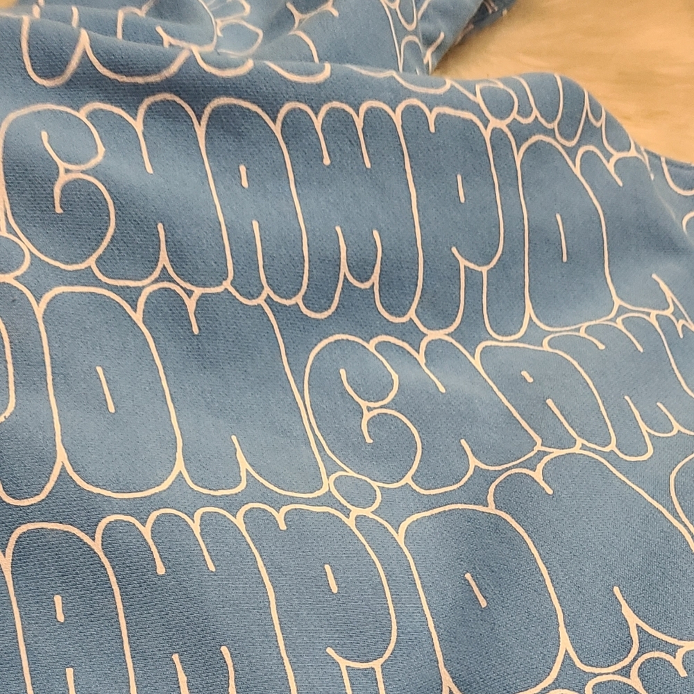 Champion Reverse Weave Hoodie - Picture 7 of 10